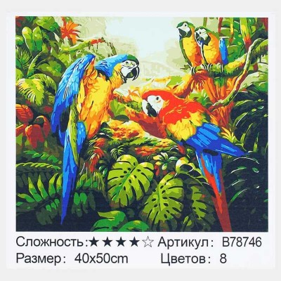 Картина за номерами + Алмазна мозаїка B 78746 TK Group , 40х50 см, Папуги