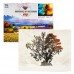Картина за номерами + Алмазна мозаїка B 75288 TK Group , 40x50 см, “Дерево життя” в магазині autoplus, з доставкою по Україні, краща ціна