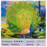 Картина по номерах + Алмазна мозаїка 2в1 YHDGJ 72017 50х40см