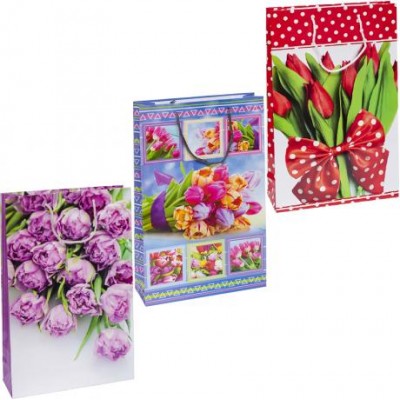 Пакет кольоровий великий "Квіти" вертикальний 25х39х8 см 5002 у магазині autoplus, з доставкою по Україні, краща ціна