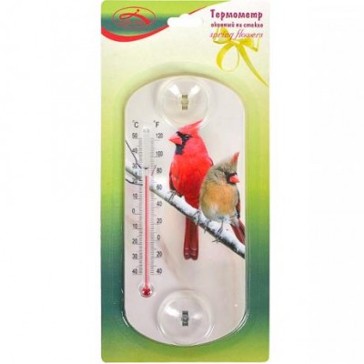 Термометр віконний CH 3028-1 на присосках 20*9см X2-124 у магазині autoplus, з доставкою по Україні, краща ціна