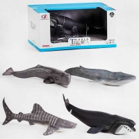 Морські тварини Q 9899 P 21 4 види